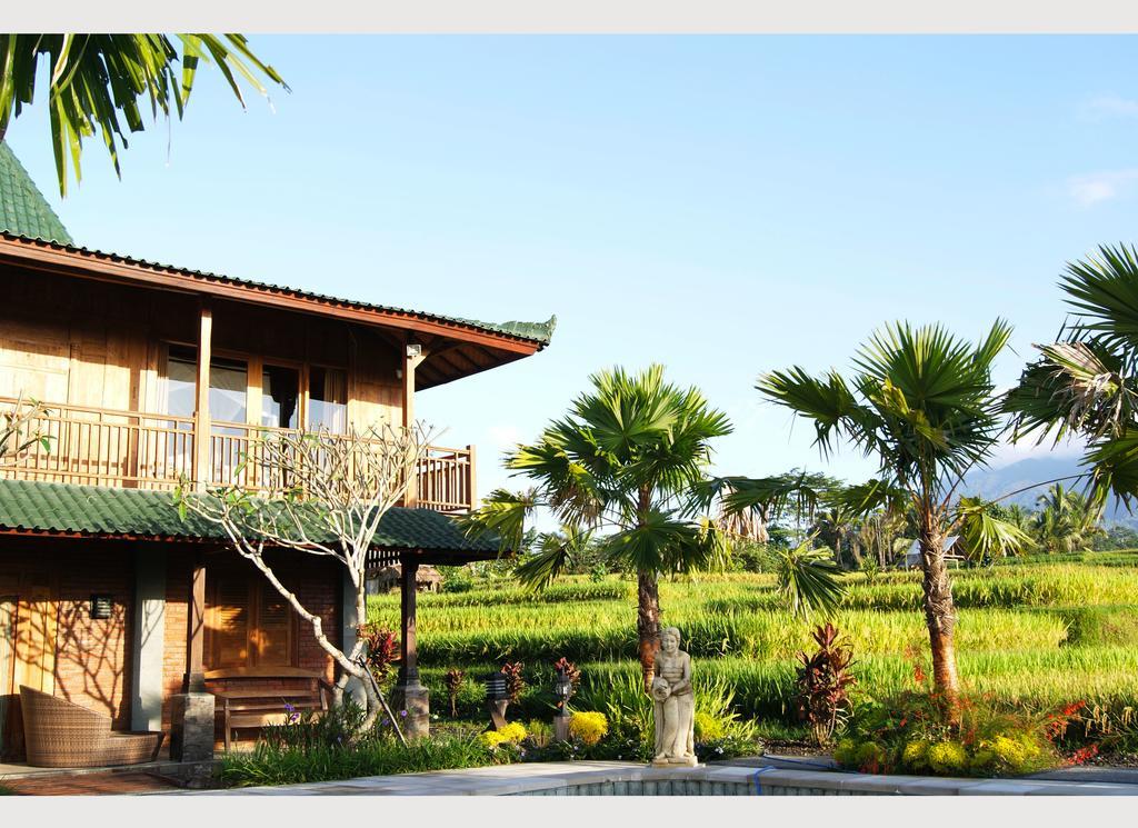 Ti Amo Bali Hotell Jatiluwih Rom bilde