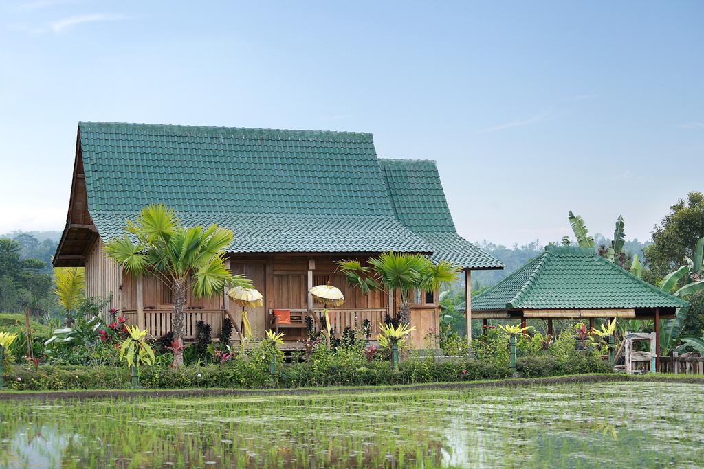 Ti Amo Bali Hotell Jatiluwih Eksteriør bilde
