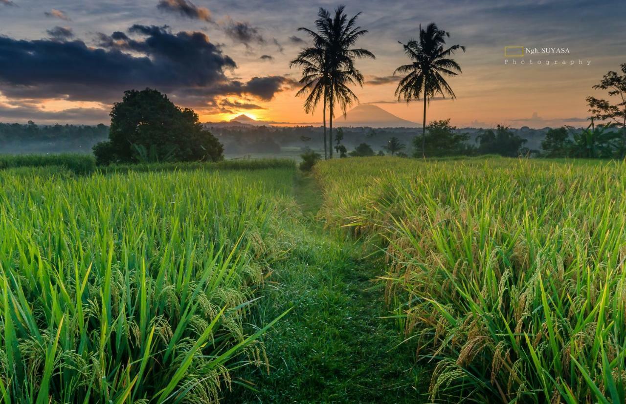 Ti Amo Bali Hotell Jatiluwih Eksteriør bilde