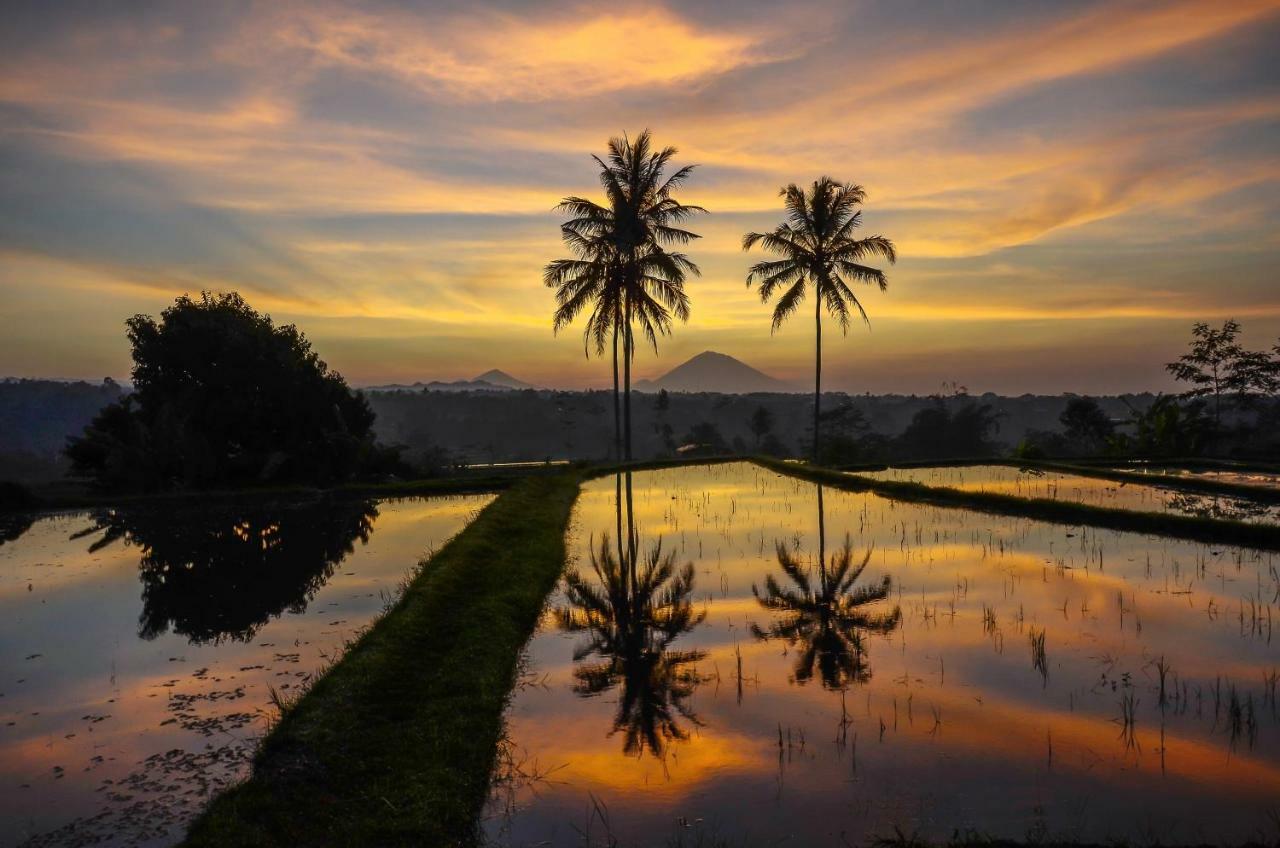 Ti Amo Bali Hotell Jatiluwih Eksteriør bilde