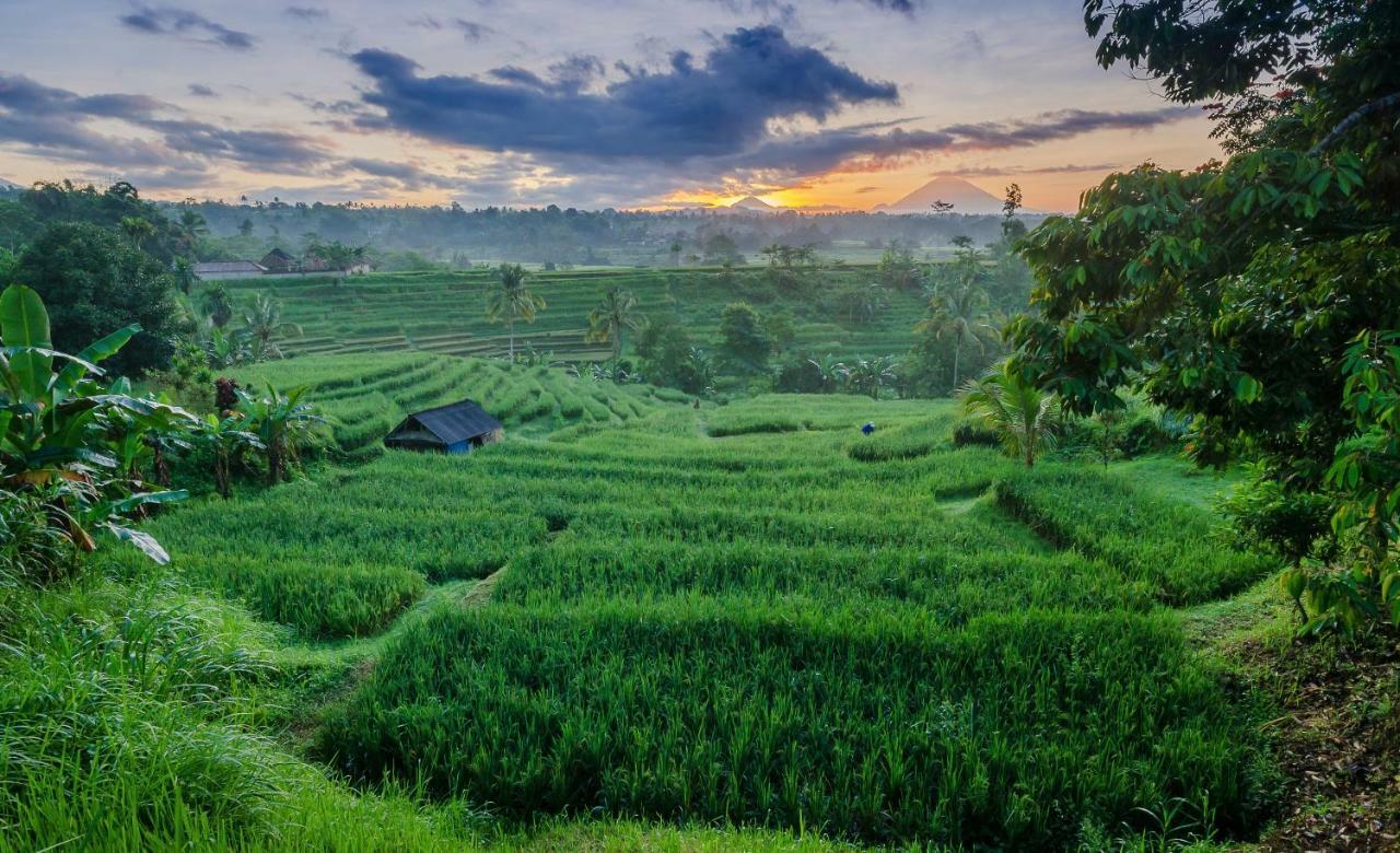 Ti Amo Bali Hotell Jatiluwih Eksteriør bilde