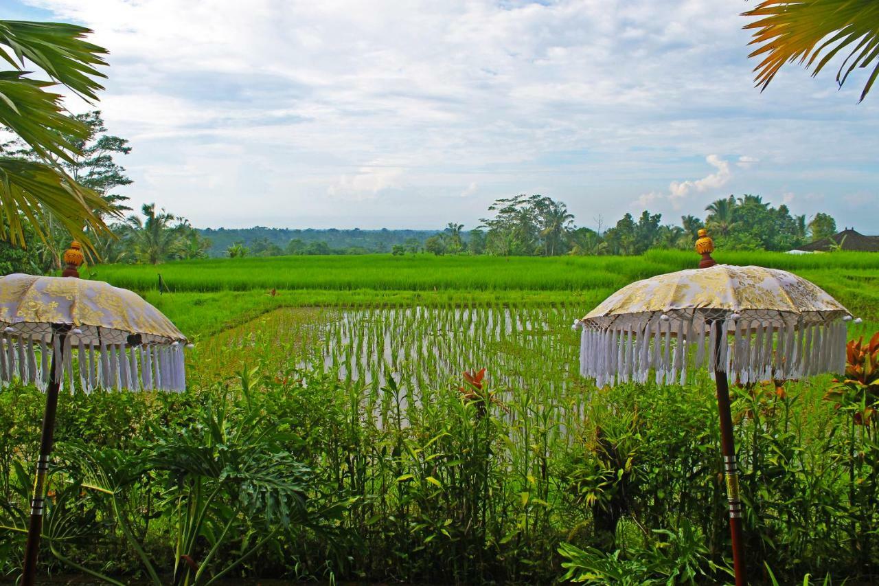 Ti Amo Bali Hotell Jatiluwih Eksteriør bilde